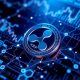 Фундаментальные факторы, определяющие прогноз XRP в 2025 году